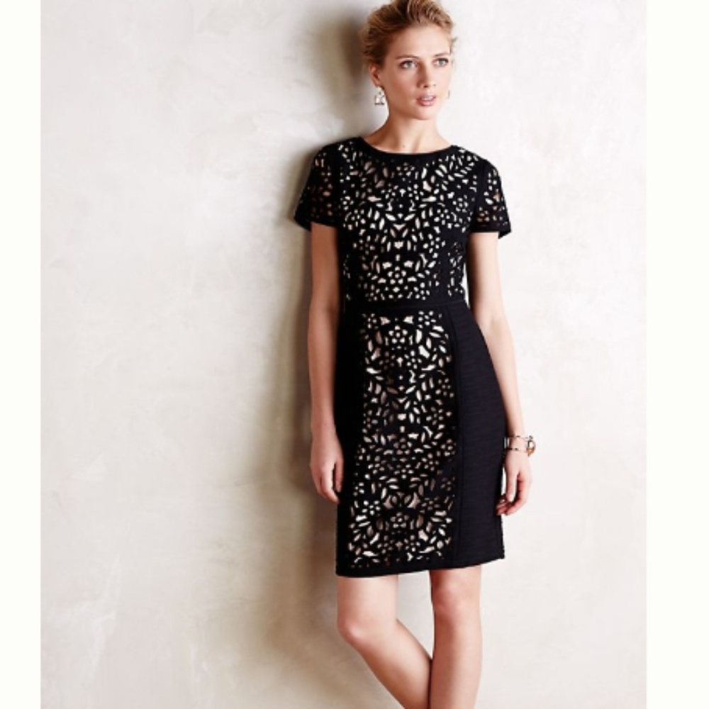 Maeve basalt lasercut eyelet floral sheath dress